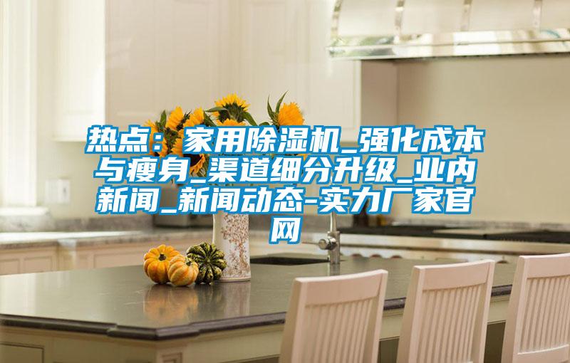 熱點(diǎn)：家用除濕機(jī)_強(qiáng)化成本與瘦身_渠道細(xì)分升級(jí)_業(yè)內(nèi)新聞_新聞動(dòng)態(tài)-實(shí)力廠家官網(wǎng)