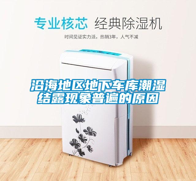 沿海地區地下車庫潮濕結露現象普遍的原因