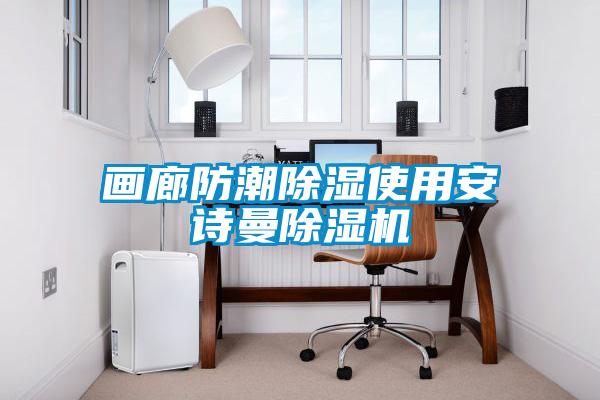 畫廊防潮除濕使用安詩曼除濕機(jī)