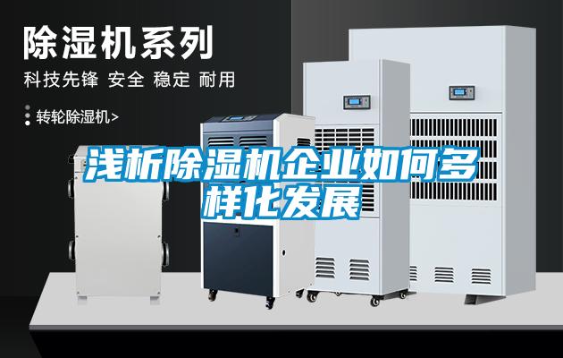 淺析除濕機企業如何多樣化發展