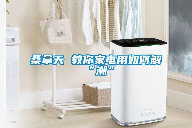 桑拿天 教你家電用如何解“潮”