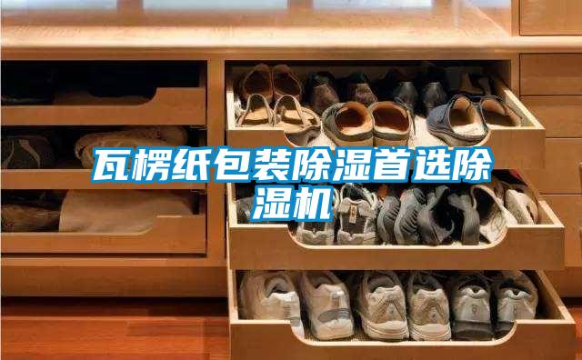 瓦楞紙包裝除濕首選除濕機