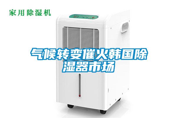 氣候轉(zhuǎn)變催火韓國除濕器市場