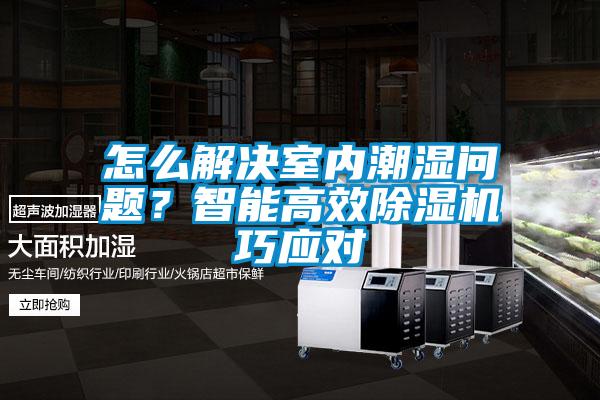 怎么解決室內(nèi)潮濕問題？智能高效除濕機巧應(yīng)對