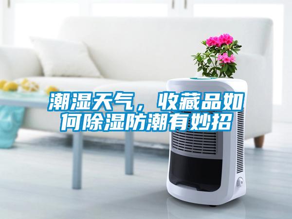 潮濕天氣，收藏品如何除濕防潮有妙招