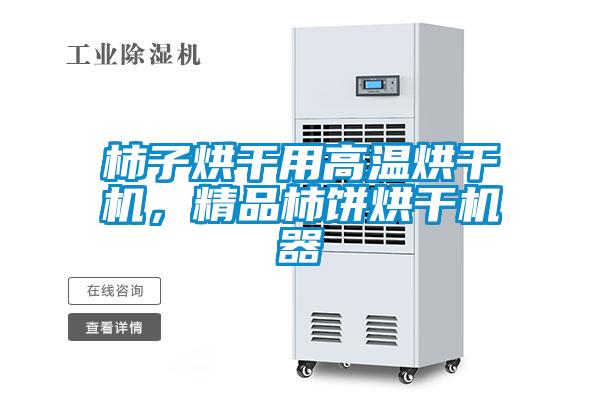 柿子烘干用高溫烘干機,精品柿餅烘干機器