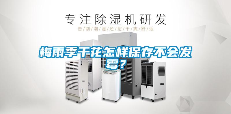 梅雨季干花怎樣保存不會發霉？