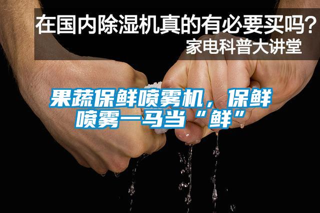 果蔬保鮮噴霧機，保鮮噴霧一馬當“鮮”