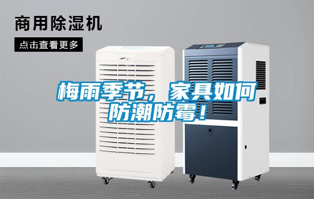 梅雨季節，家具如何防潮防霉！
