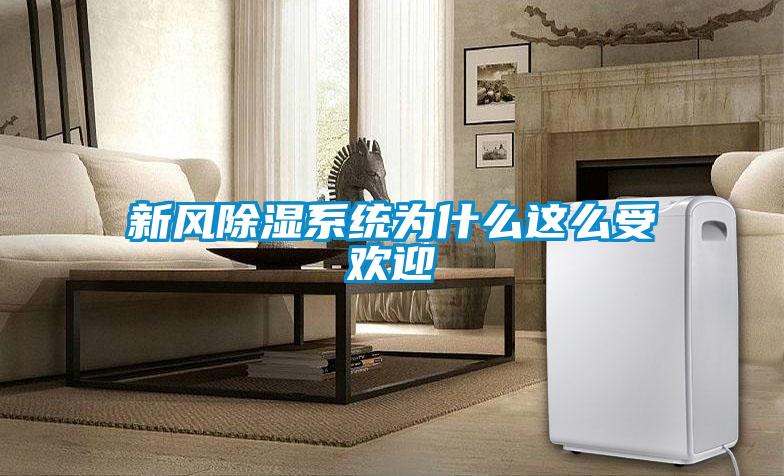 新風除濕系統(tǒng)為什么這么受歡迎