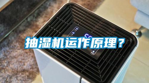 抽濕機運作原理？