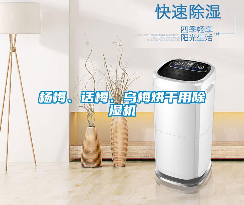 楊梅、話梅、烏梅烘干用除濕機