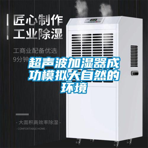 超聲波加濕器成功模擬大自然的環境