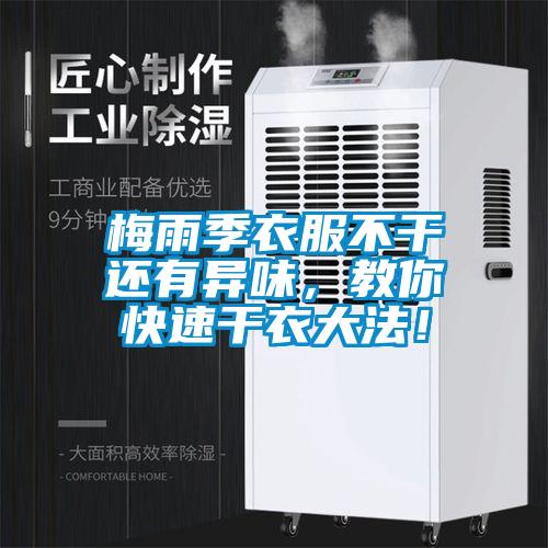 梅雨季衣服不干還有異味，教你快速干衣大法！