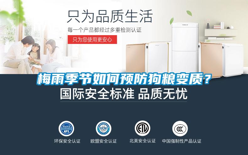 梅雨季節如何預防狗糧變質？