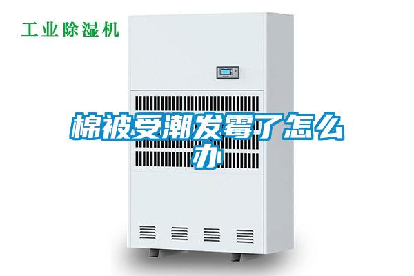 棉被受潮發霉了怎么辦