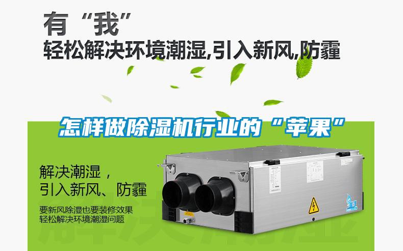 怎樣做除濕機行業的“蘋果”