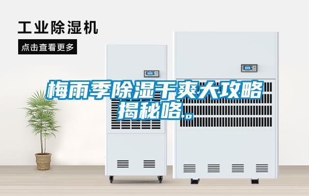 梅雨季除濕干爽大攻略揭秘咯。