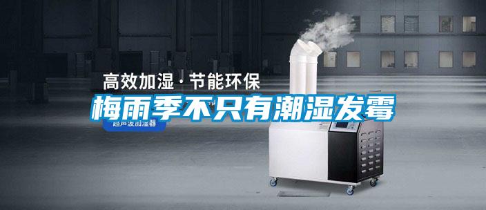 梅雨季不只有潮濕發霉