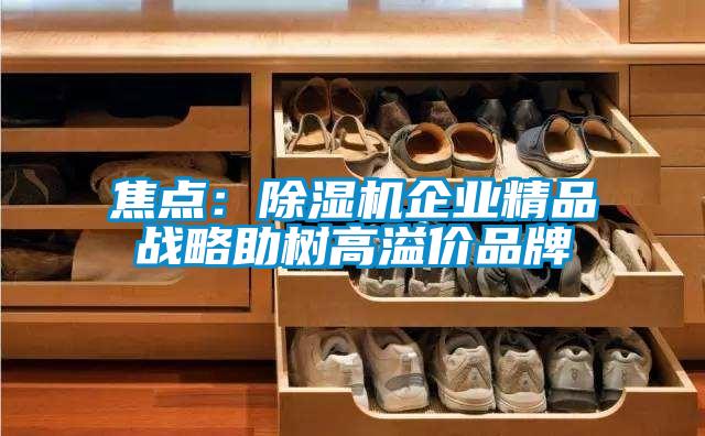 焦點：除濕機企業精品戰略助樹高溢價品牌