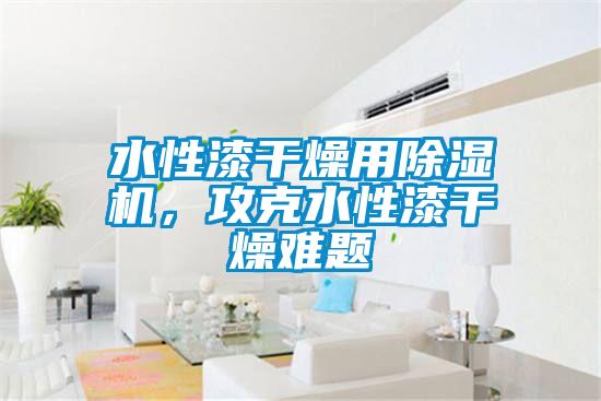 水性漆干燥用除濕機，攻克水性漆干燥難題