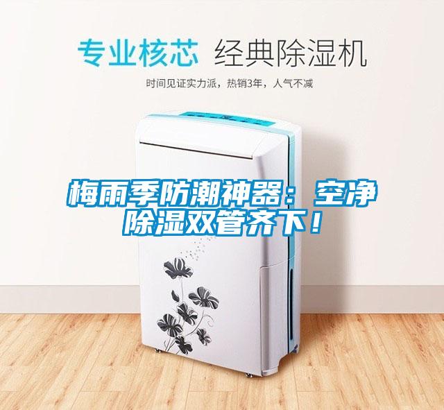 梅雨季防潮神器：空凈除濕雙管齊下！