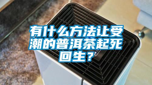 有什么方法讓受潮的普洱茶起死回生？
