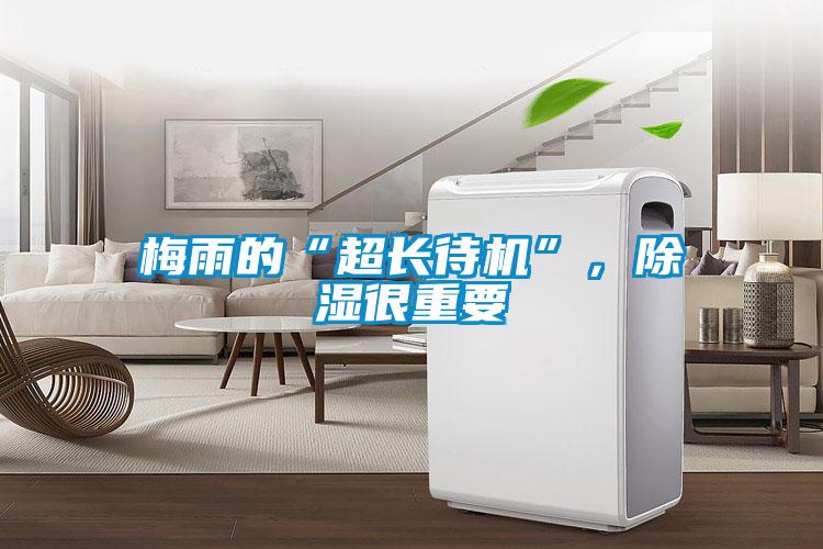梅雨的“超長待機”，除濕很重要