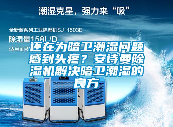 還在為暗衛(wèi)潮濕問(wèn)題感到頭疼？安詩(shī)曼除濕機(jī)解決暗衛(wèi)潮濕的良方