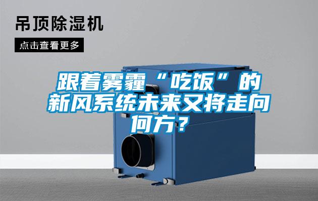 跟著霧霾“吃飯”的新風(fēng)系統(tǒng)未來(lái)又將走向何方？