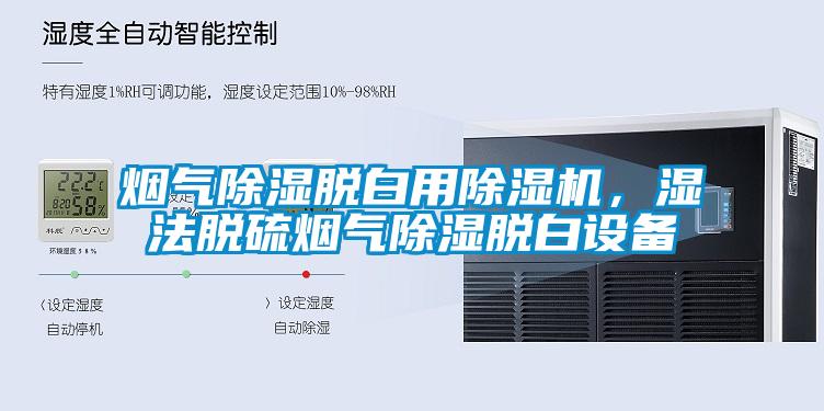 煙氣除濕脫白用除濕機，濕法脫硫煙氣除濕脫白設備