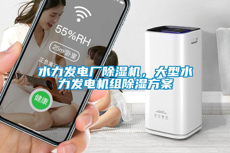 水力發電廠除濕機，大型水力發電機組除濕方案