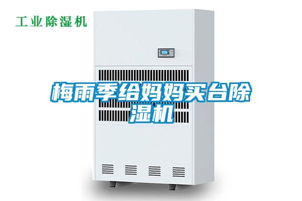 梅雨季給媽媽買臺除濕機