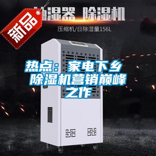 熱點：家電下鄉 除濕機營銷巔峰之作