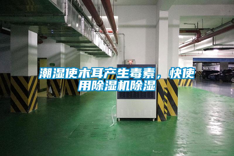 潮濕使木耳產生毒素，快使用除濕機除濕