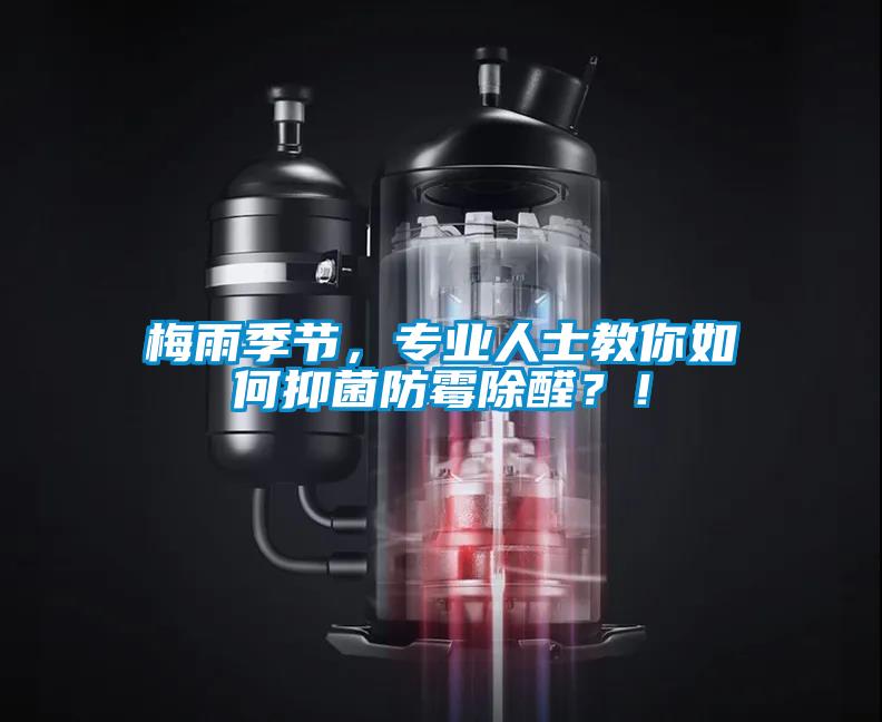 梅雨季節，專業人士教你如何抑菌防霉除醛？！