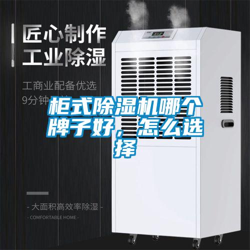 柜式除濕機哪個牌子好，怎么選擇