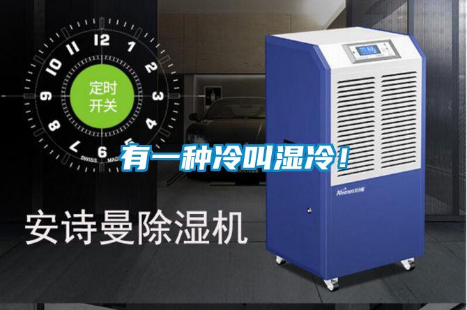 有一種冷叫濕冷！