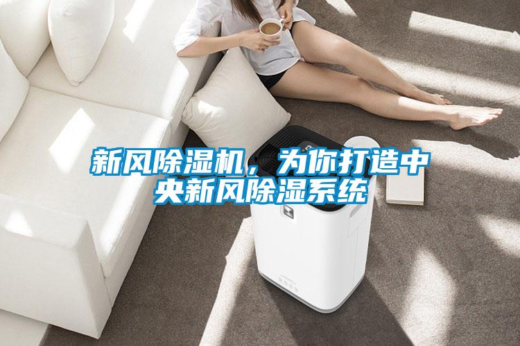 新風除濕機，為你打造中央新風除濕系統
