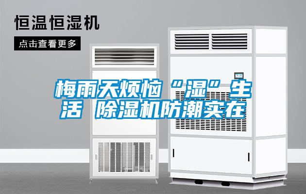 梅雨天煩惱“濕”生活 除濕機防潮實在