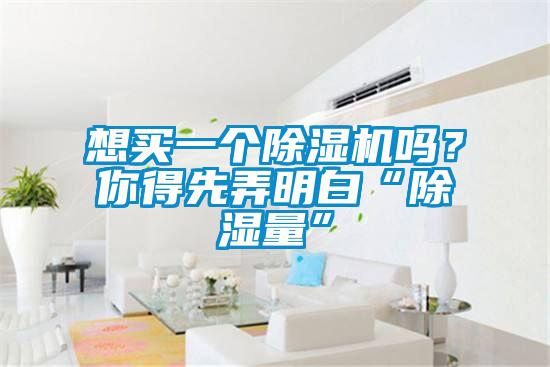 想買一個(gè)除濕機(jī)嗎？你得先弄明白“除濕量”