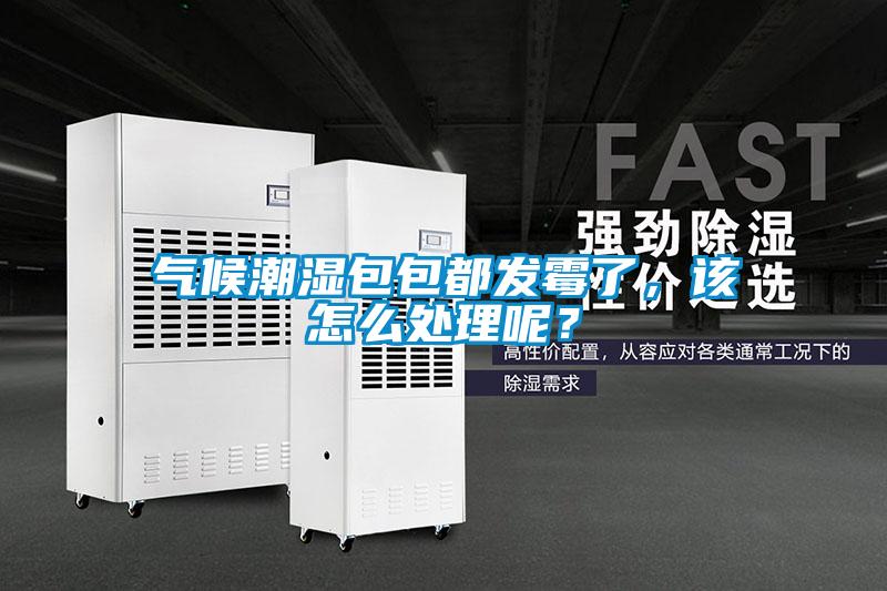 氣候潮濕包包都發霉了，該怎么處理呢？