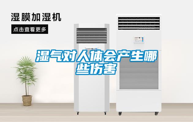 濕氣對(duì)人體會(huì)產(chǎn)生哪些傷害