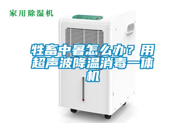 牲畜中暑怎么辦？用超聲波降溫消毒一體機