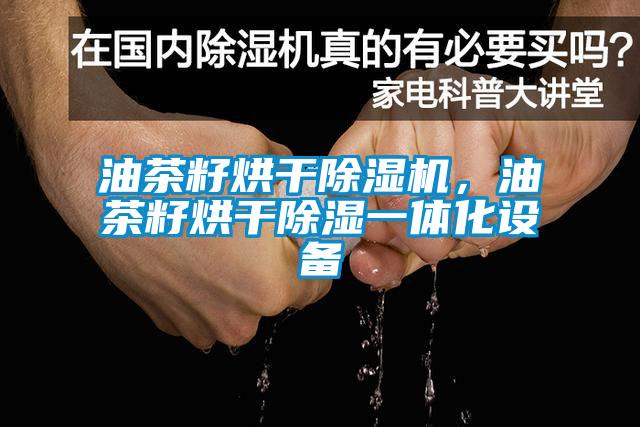 油茶籽烘干除濕機，油茶籽烘干除濕一體化設備