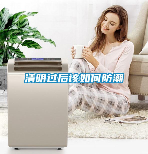 清明過后該如何防潮