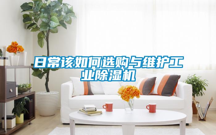 日常該如何選購與維護工業(yè)除濕機