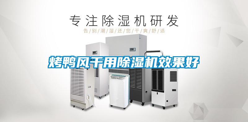 烤鴨風(fēng)干用除濕機效果好