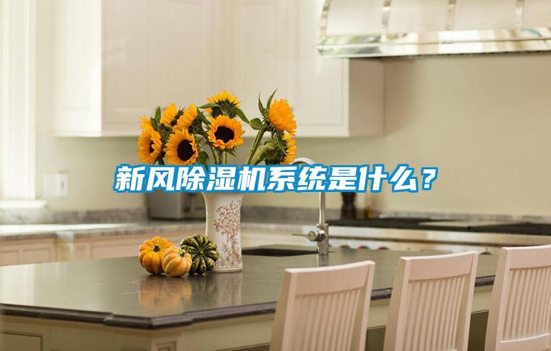 新風除濕機系統是什么？