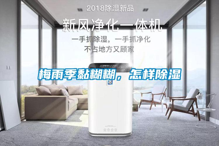 梅雨季黏糊糊，怎樣除濕